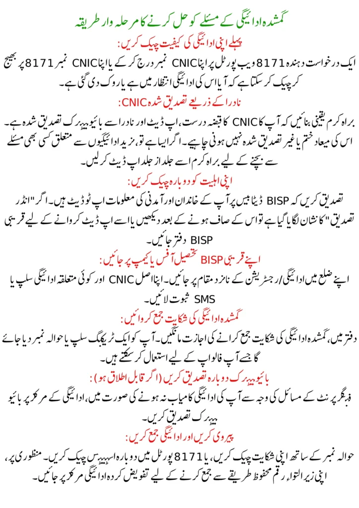 BISP 8171 Missing Payment – Easy Way to Fix the Problem and Receive Your Amount