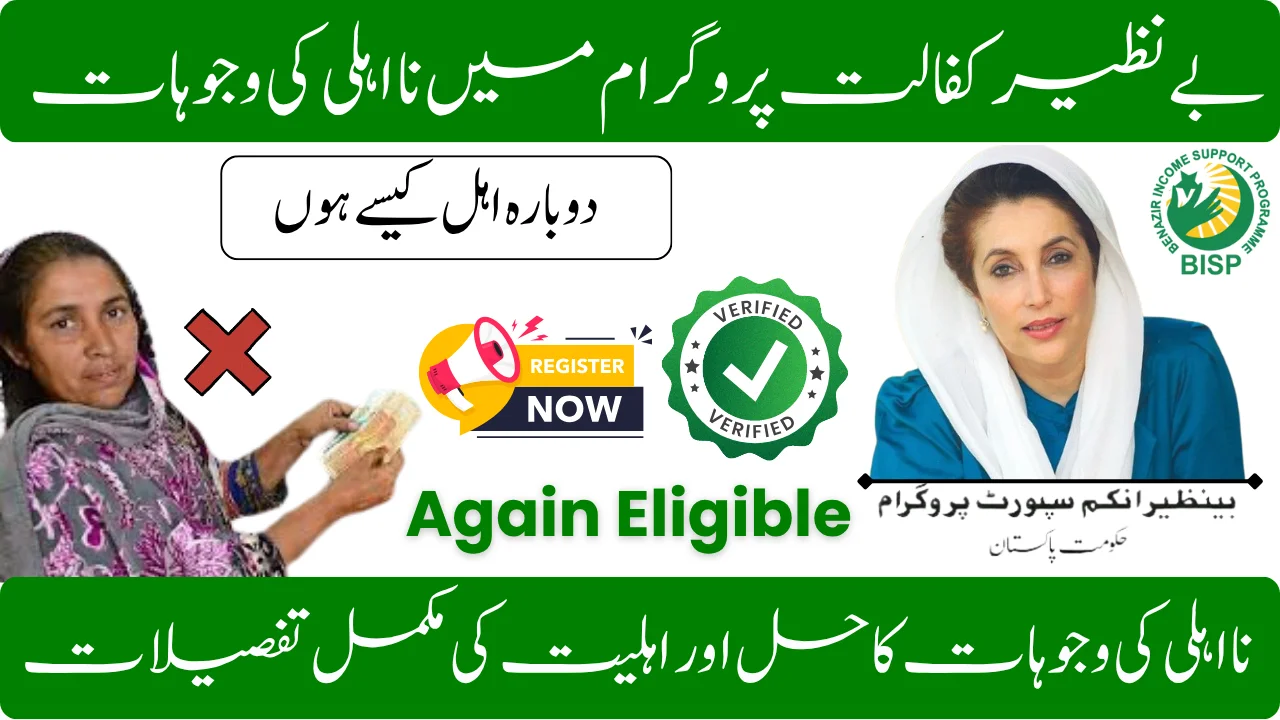 Benazir Kafaalat Program Disqualification Factors and Become Again Eligible for 13,500 - Complete Guide 2025