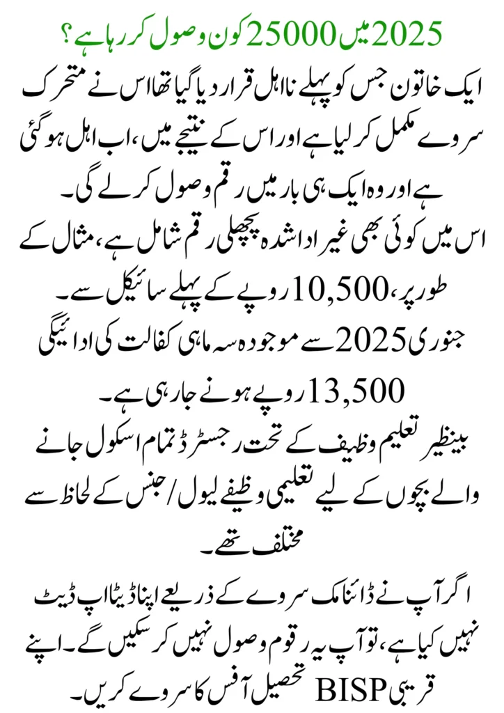 Ehsaas Program 25,000 CNIC Check 2025 – Eligibility, Verification and Payment Process 