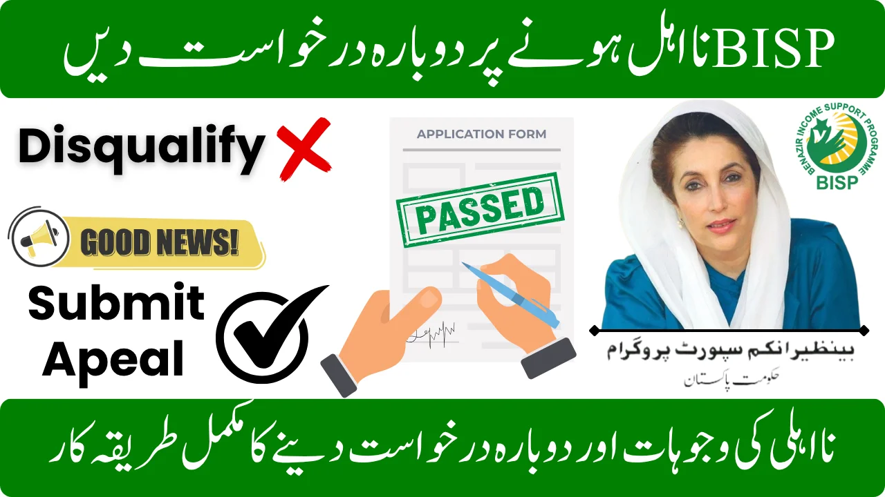 How to Appeal BISP Disqualification in 2025 Step-by-Step Guide